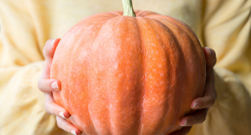 Influenza del Trattamento Termico e della Fermentazione Lattica sul Succo di Zucca